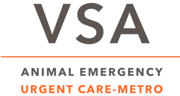 VSA - Urgent Care - Metro
