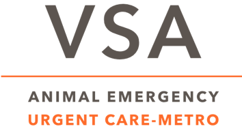 VSA - Urgent Care - Metro