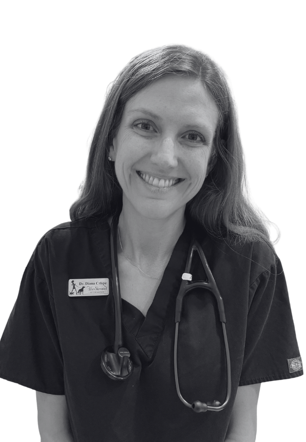 The Strand Vet - Diana New