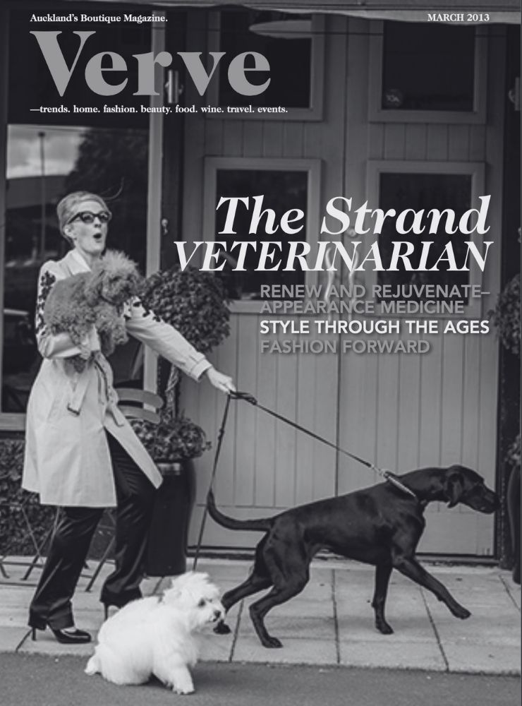 The Strand Vet Founders Journey (10)
