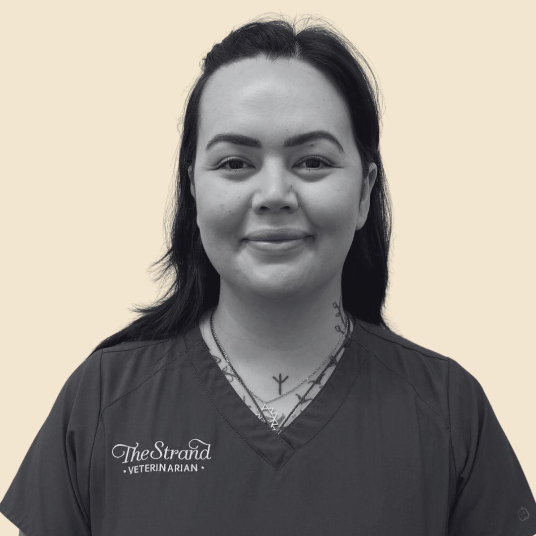 Jess-TheStrandVet