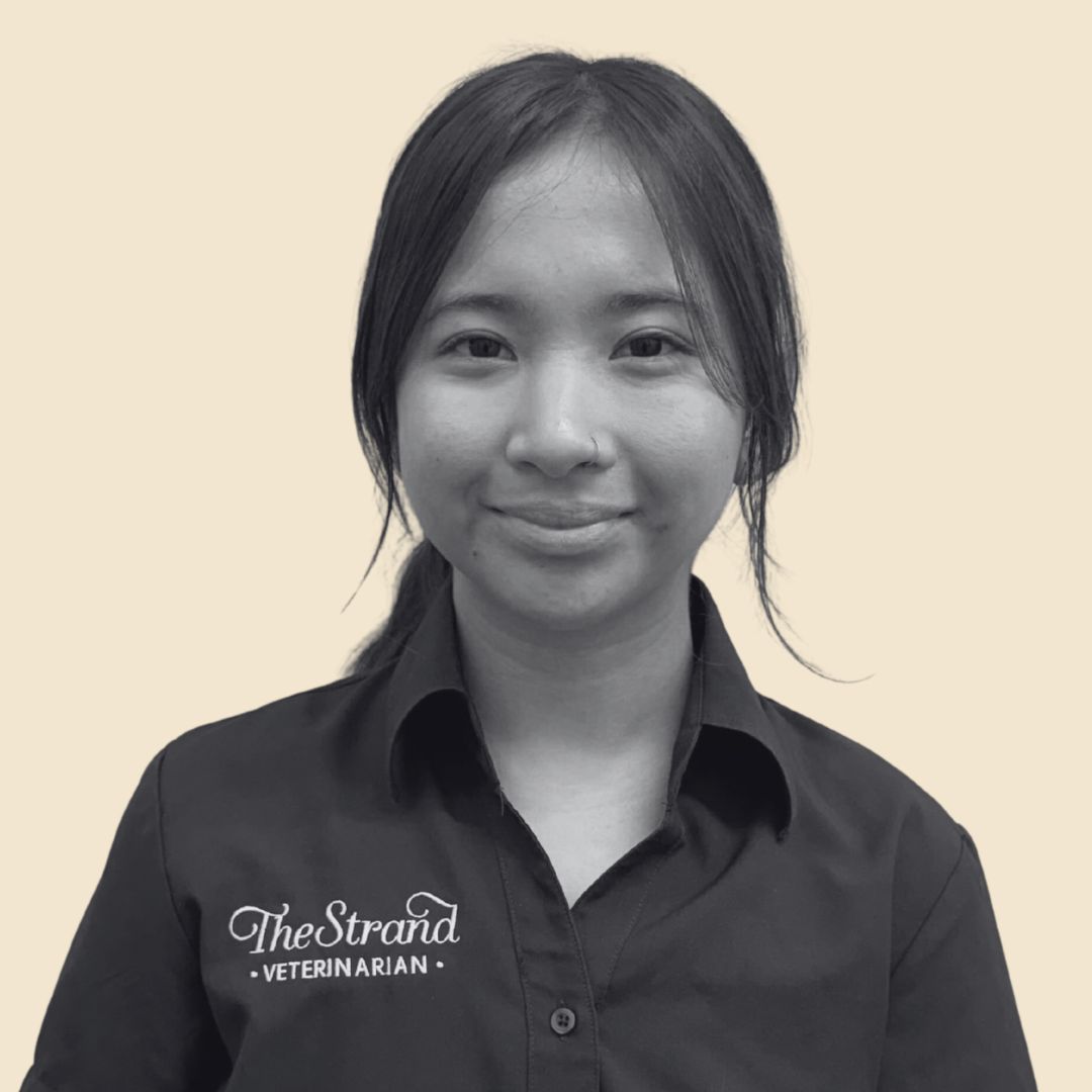 Karina-TheStrandVet