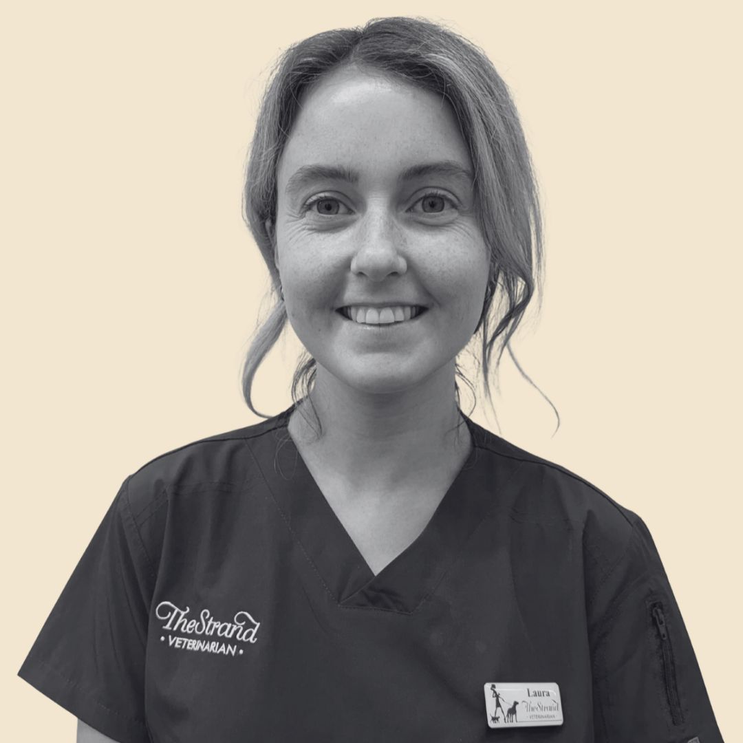 Laura-TheStrandVet