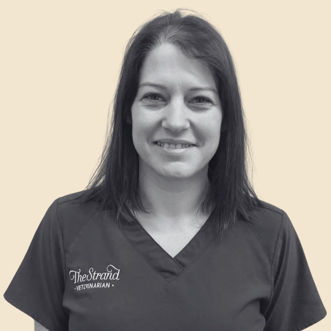 Sophie-TheStrandVet