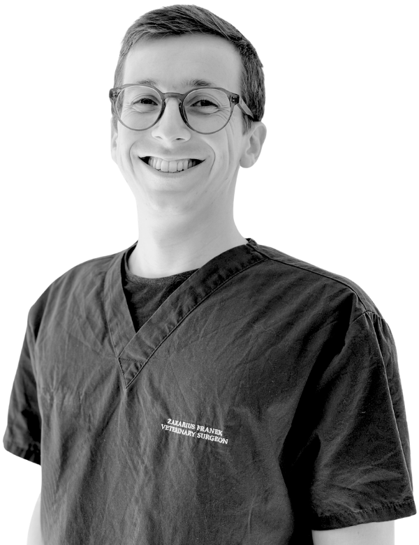 The Strand Vet - Dr Zakarius Franek (1)